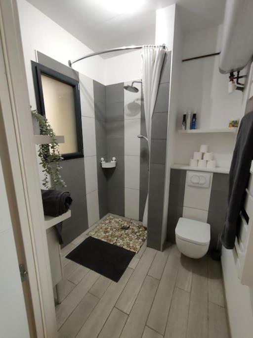 Patio Cosy Daire Thizy-les-Bourgs Dış mekan fotoğraf