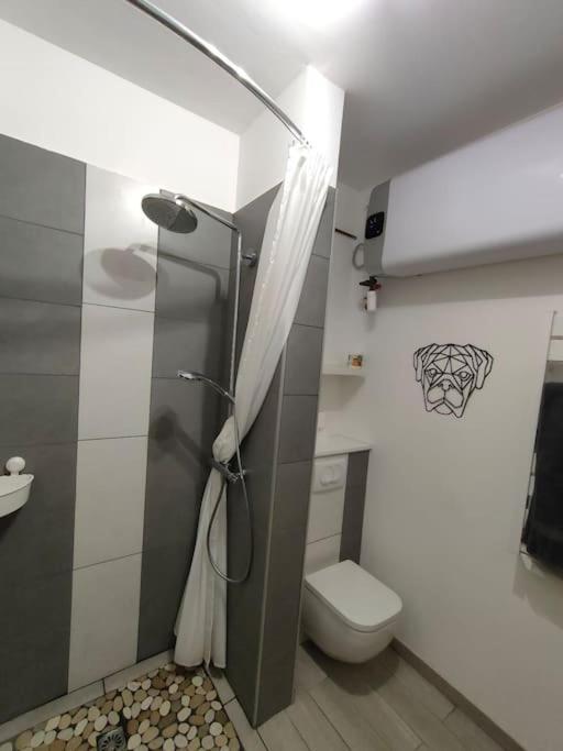 Patio Cosy Daire Thizy-les-Bourgs Dış mekan fotoğraf